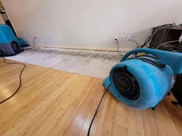Professional Water Damage Repair technician working in Spring City, UT